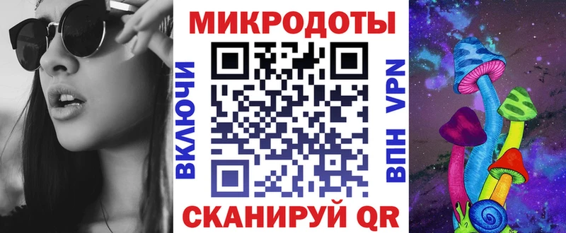 Галлюциногенные грибы Psilocybine cubensis  Краснообск 